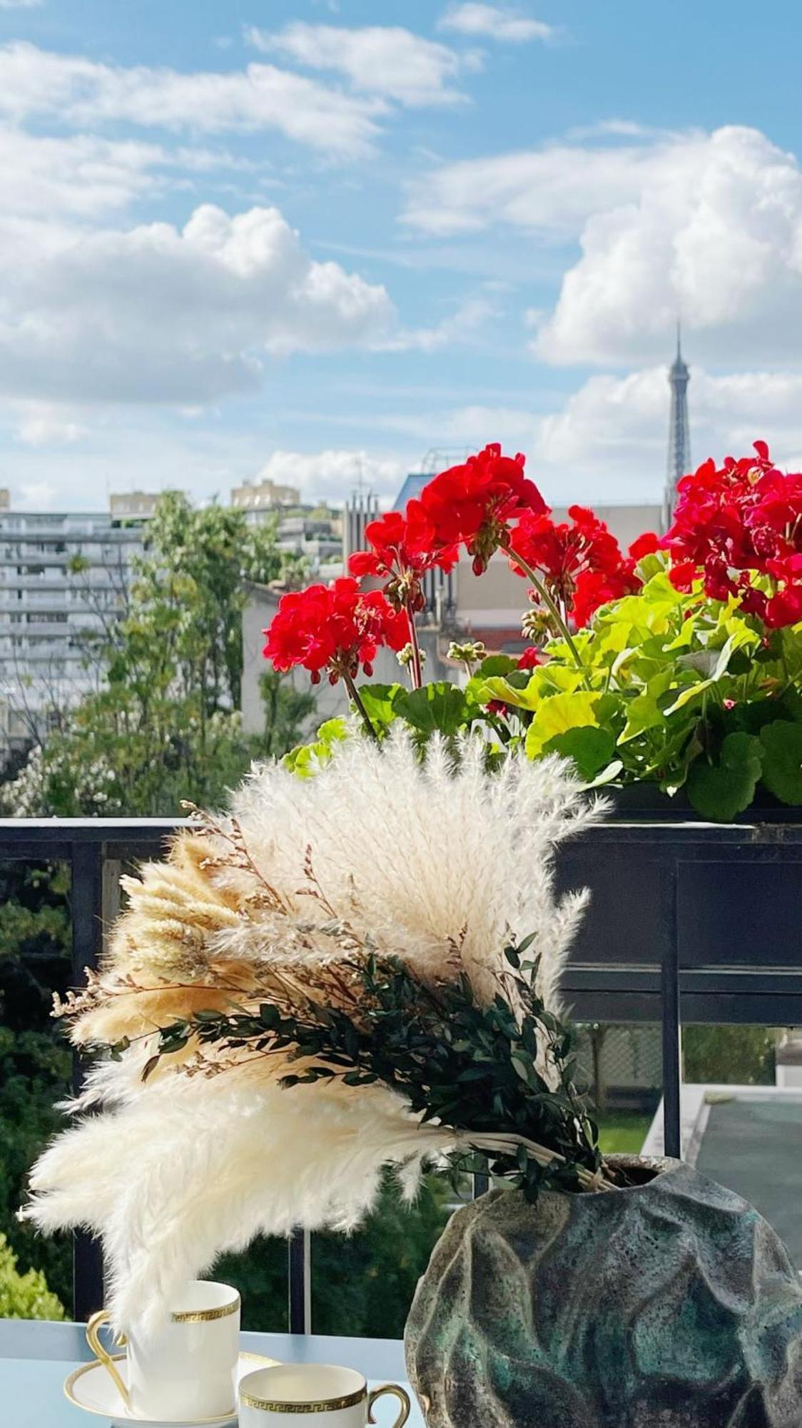 Appt 2 Vue Tour Eiffel * Paris